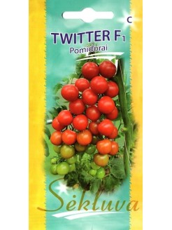 Pomidor zwyczajnyi 'Twitter' H, 10 nasion