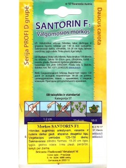 Marchew uprawna 'Santorin' H, 5000 nasion