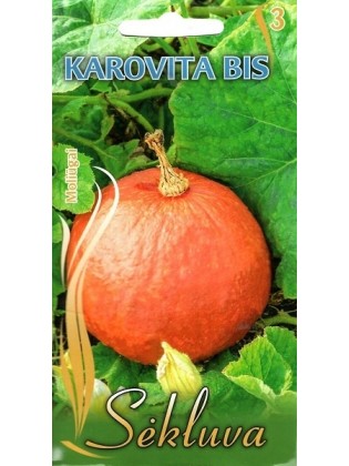 Dynia olbrzymia 'Karovita Bis' 50 g