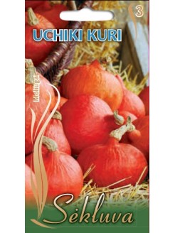 Dynia olbrzymia 'Uchiki Kuri' 25 g