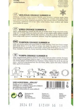 Dynia olbrzymia 'Orange Summer' H, 5 nasion
