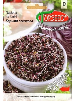 Kapusta czerwona 10 g