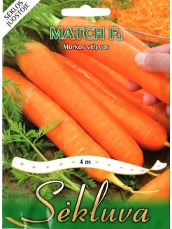 Marchew 'Match' H, 4m na taśmie
