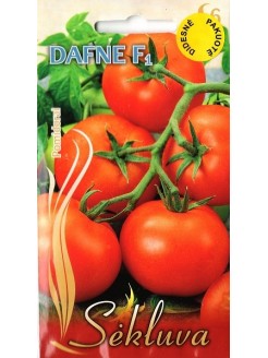 Pomidor zwyczajny 'Dafne' H, 2 g