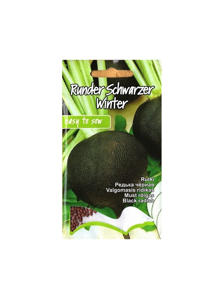 Rzodkiew 'Runder schwarzer winter' 5 g