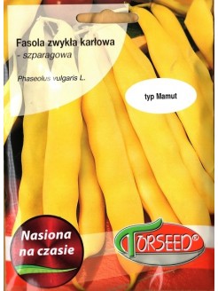 Fasola zwykła 'Bis' 20 g