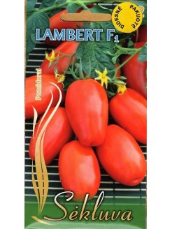 Pomidor 'Lambert' H,  2 g