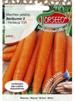 Marchew 'Berlikumer 2 - Perfekcja' 5 m/300 nasion