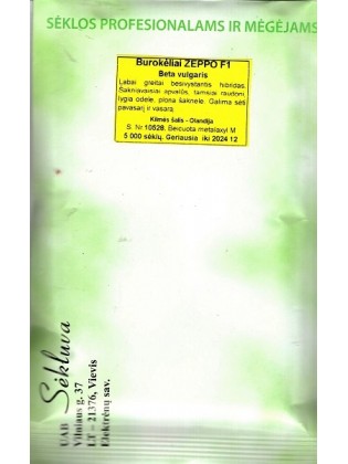 Burak ćwikłowy 'Zeppo' H, 5000 nasion