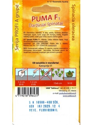 Szpinak warzywny 'Puma' H, 400 nasion
