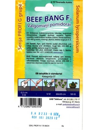 Pomidor 'Beef Bang' H