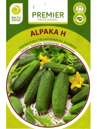 Ogórek siewny 'Alpaka' H, 20 nasion