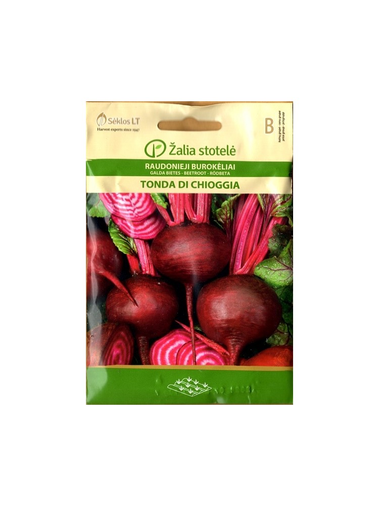 Burak ćwikłowy 'Tonda di Chioggia' 10 g Burak ćwikłowy 'Tonda di Chioggia' 10 g