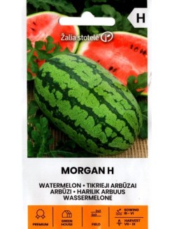 Arbuz zwyczajny 'Morgan' H, 5 nasion