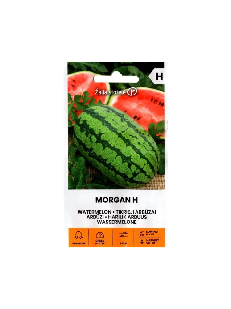 Arbuz zwyczajny 'Morgan' H, 5 nasion Arbuz zwyczajny 'Morgan' H, 5 nasion