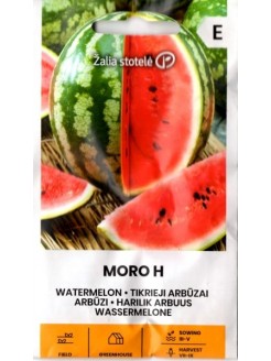 Arbuz zwyczajny 'Moro' H, 1 g