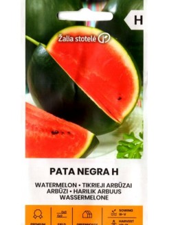 Arbuz zwyczajny 'Pata Negra' H