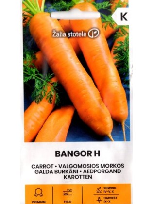 Marchew 'Bangor' H, 1 g