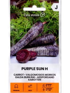 Marchew 'Purple Sun' H, 0,5 g