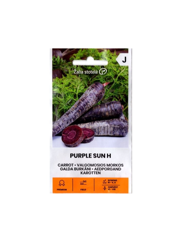 Marchew 'Purple Sun' H, 0,5 g