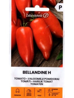 Pomidor zwyczajny 'Bellandine' H, 7 nasion