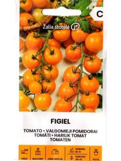 Pomidor zwyczajny 'Figiel' H, 0,1 g