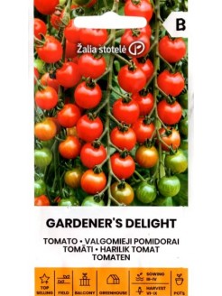 Pomidor 'Gardener's Delight' H, 0,1 g