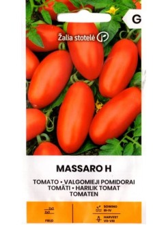Pomidor 'Massaro' H, 20 nasion