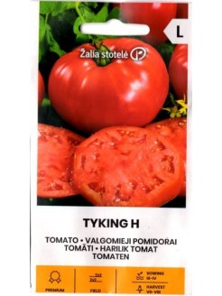 Pomidor 'Tyking' H, 15 nasion