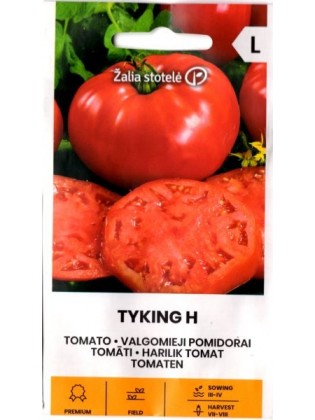 Pomidor 'Tyking' H, 15 nasion