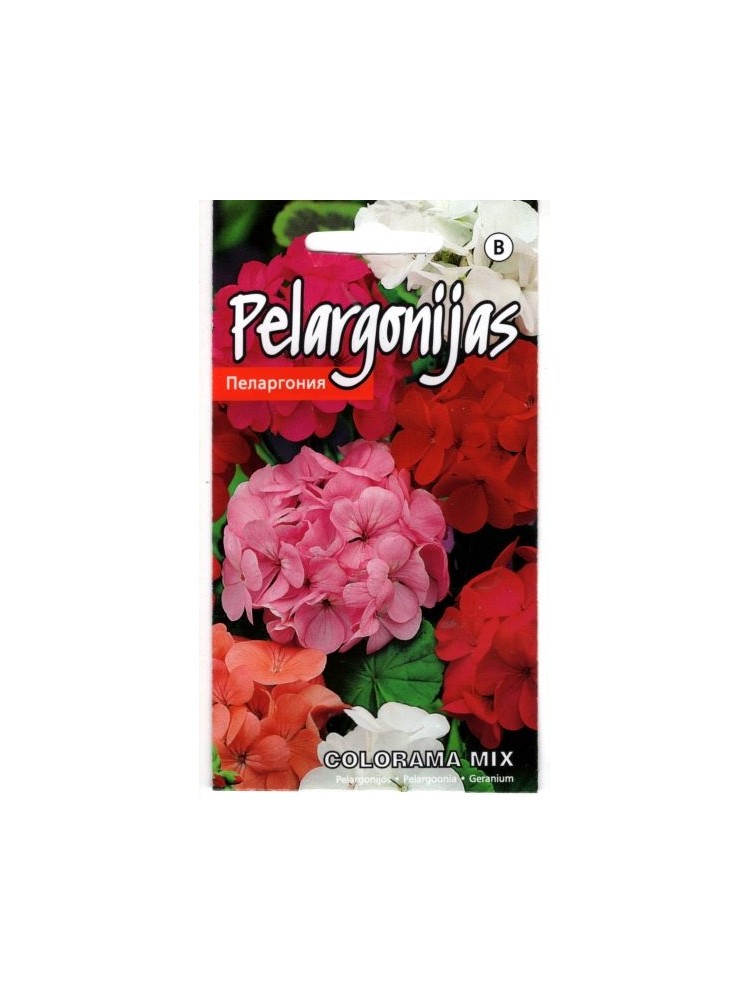 Pelargonia pasiasta 'Colorama' F2, 0,2 g