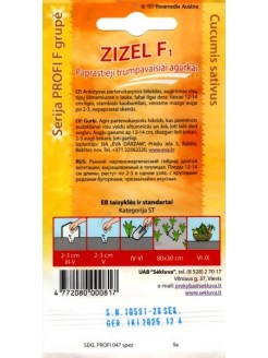 Ogórek siewny 'Zizel' H, 20 nasion