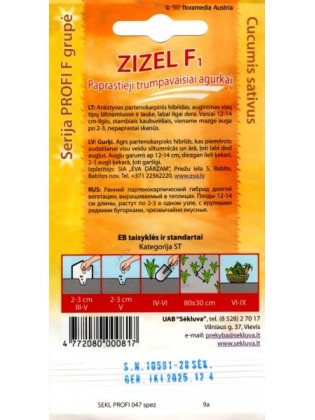 Ogórek siewny 'Zizel' H, 20 nasion