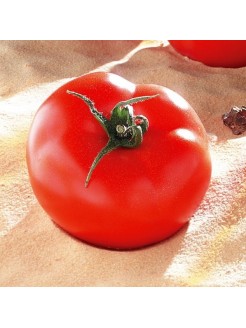 Pomidor 'Brooklyn' H, 100 nasion