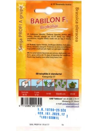 Brokuł 'Babilon' H, 25 nasion