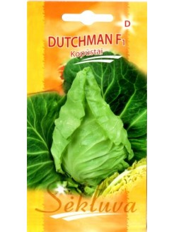 Kapusta głowiasta biała 'Dutchman' H, 20 nasion
