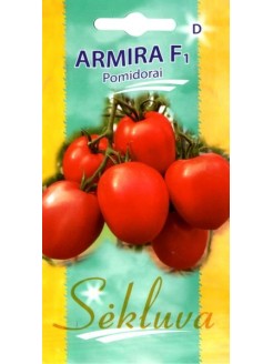Pomidor 'Armira' H, 15 nasion