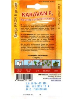 Ogórek siewny 'Karavan' H, 25 g