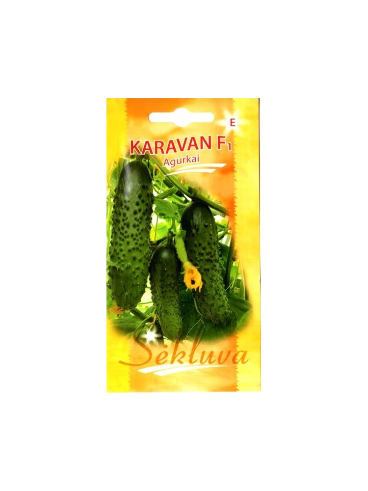 Ogórek siewny 'Karavan' H, 25 g