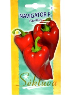 Papryka roczna 'Navigator' H, 10 nasion