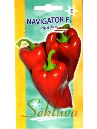 Papryka roczna 'Navigator' H, 10 nasion