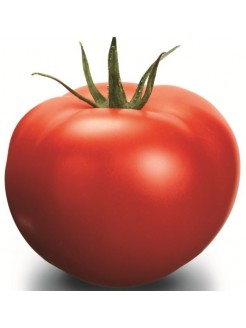 Pomidor 'Delfine' H, 100 nasion