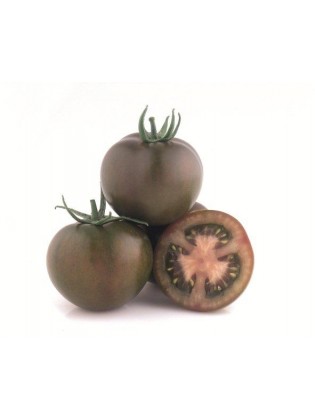 Pomidor 'Kumato olmeca' H, 5 nasion