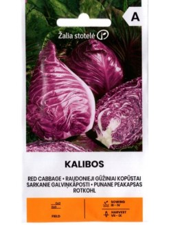 Kapusta głowiasta czerwona 'Kalibos' 1 g
