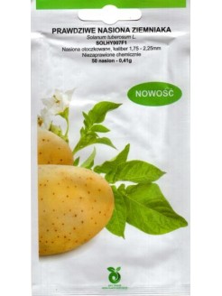 Bulvių sėklos 'Solhy007' F1, 50 nasion