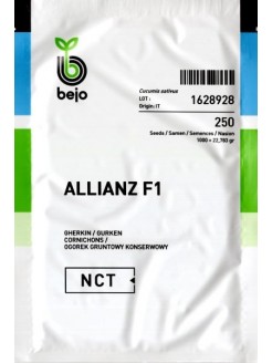 Ogórek 'Allianz' H, 250  nasion