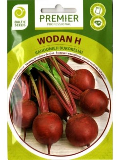 Burak ćwikłowy 'Wodan' H, 200 nasion