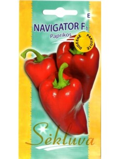 Papryka roczna 'Navigator' H, 100 nasion