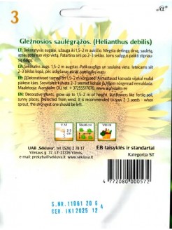 Słonecznik ogórkolistny 20 g