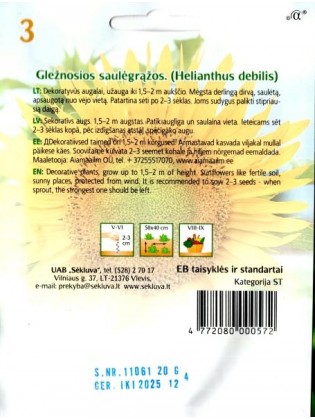 Słonecznik ogórkolistny 20 g
